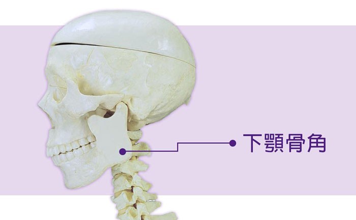 下颚骨手术价格大概需要多少钱？下颚骨矫正手术危险吗？