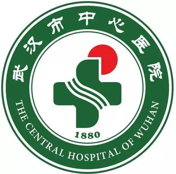 武汉市中心医院医学整形美容科_医院logo