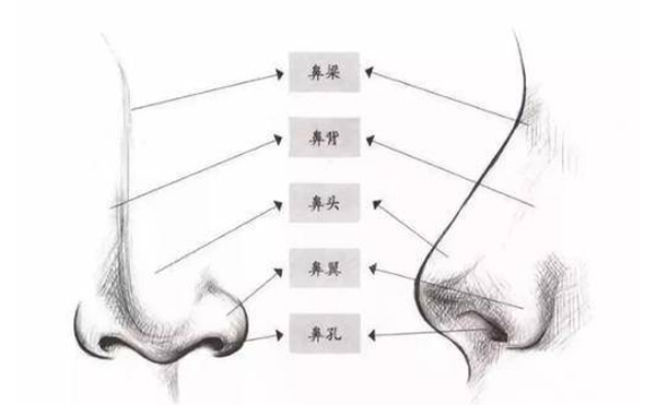 箭鼻矫正须知【成因、适宜人群、禁忌症、手术原理、术前准备、手术时间、恢复期】