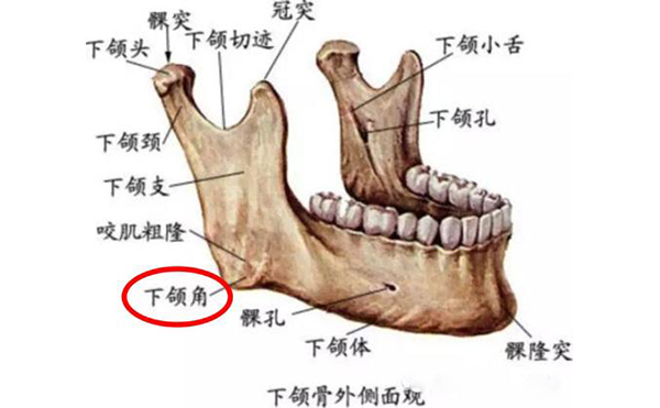 下颌角肥大应该怎么办呢?