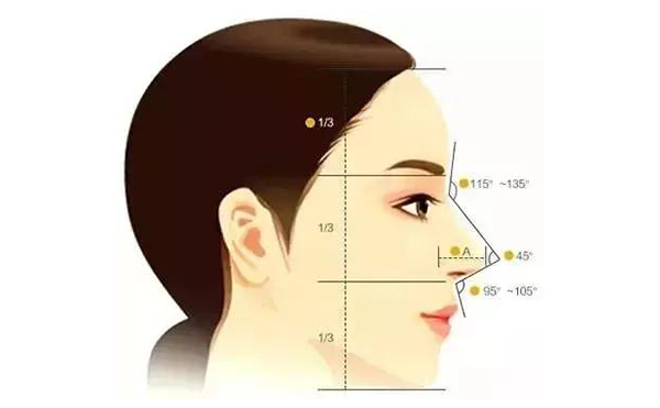 漂亮鼻子的标准