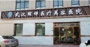 武汉丽婵医疗美容医院